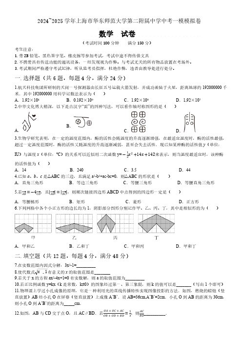 上海市浦东新区华东师范大学第二附属中学2024-2025学年九年级上学期中考一模数学试题(含答案)