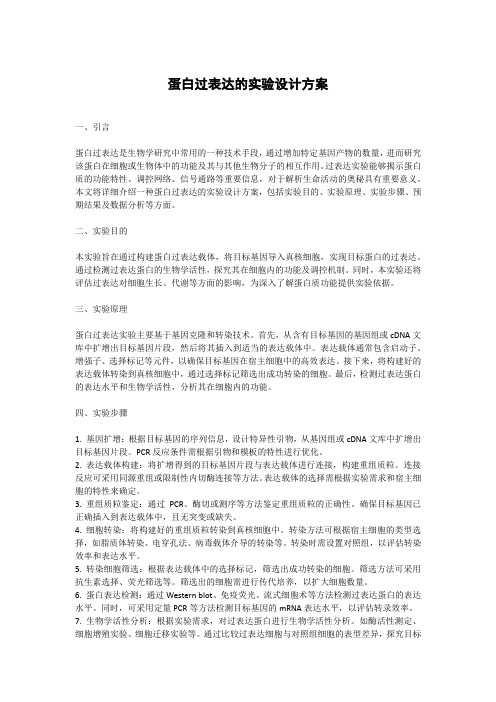 蛋白过表达的实验设计方案