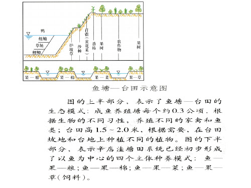 基塘农业