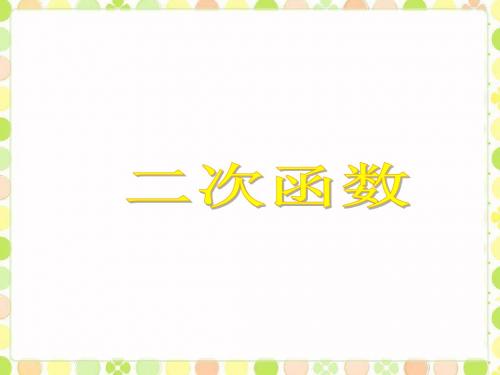 鲁教版九年级数学上册《二次函数》课件 ppt