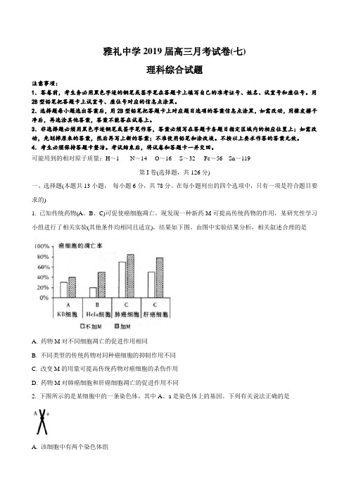 湖南省长沙市雅礼中学2019届高三上学期月考(七)理综试题