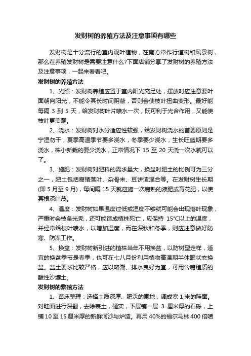 发财树的养殖方法及注意事项有哪些