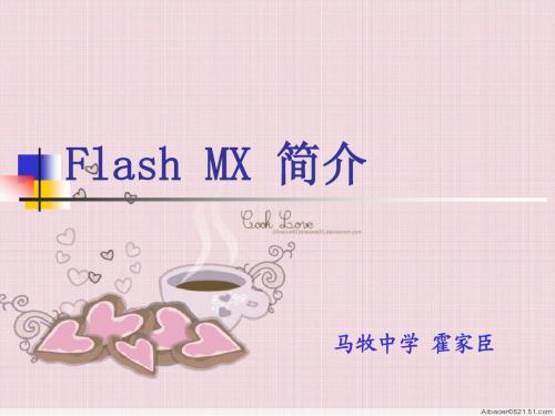 Flash__MX__简介