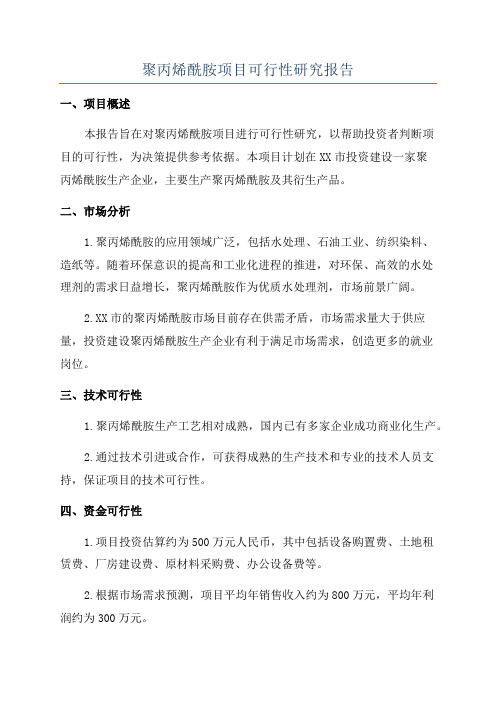 聚丙烯酰胺项目可行性研究报告