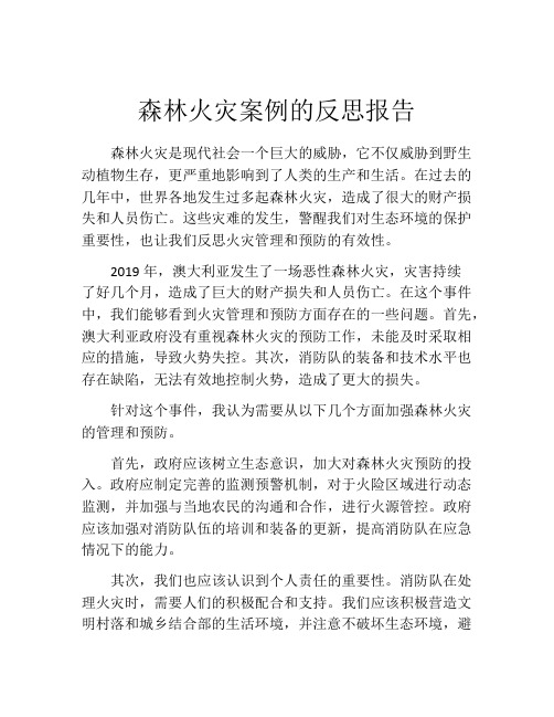 森林火灾案例的反思报告