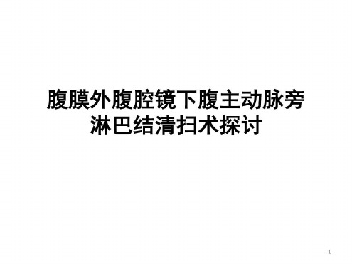 腹膜外腹腔镜下腹主动脉旁淋巴结清扫术探讨_2022年学习资料