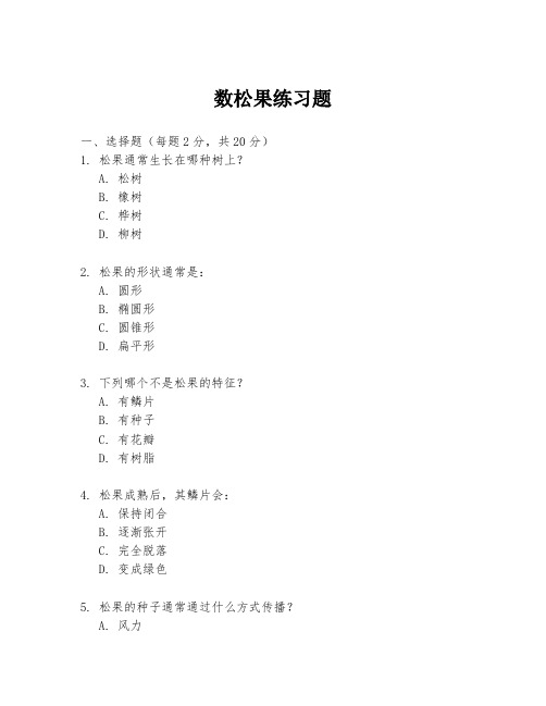 数松果练习题