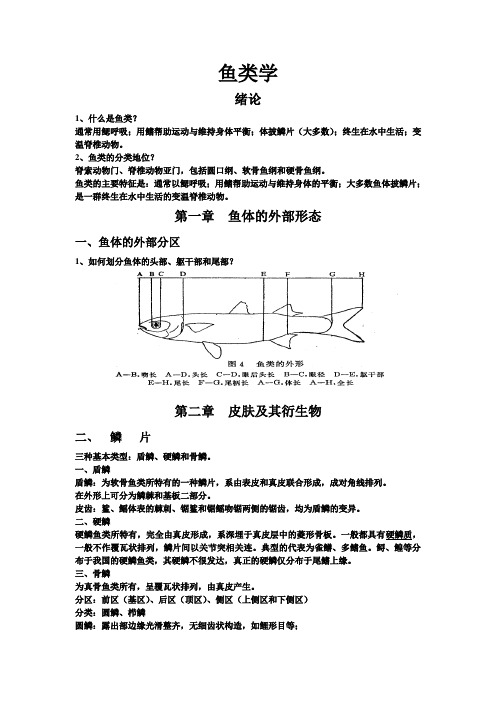 2014鱼类学