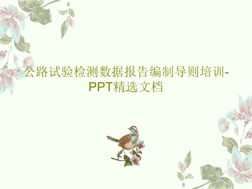 公路试验检测数据报告编制导则培训-PPT精选文档55页PPT