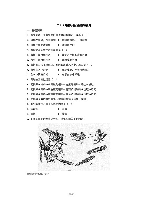 人教版八年级生物下册7.1.3《两栖动物的生殖和发育》习题(含答案)