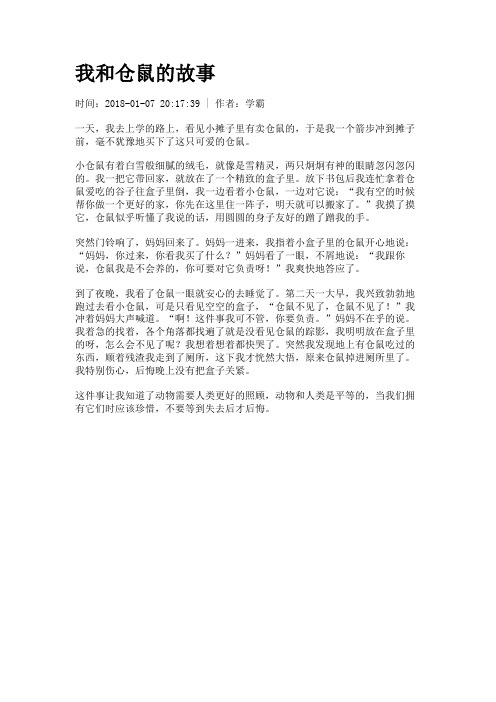 我和仓鼠的故事