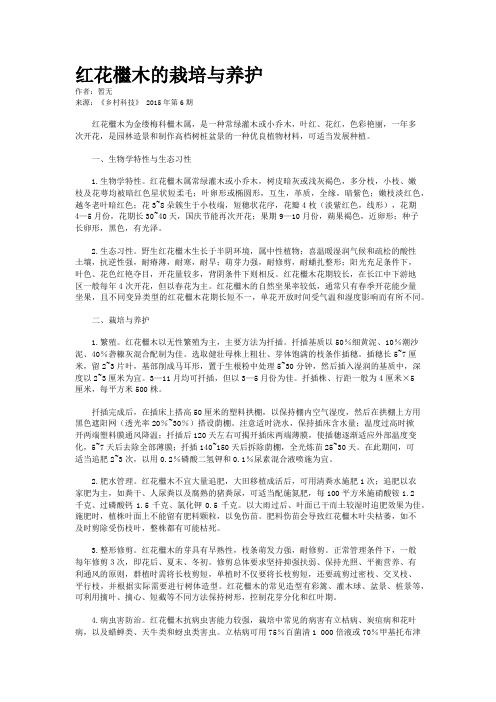 红花檵木的栽培与养护