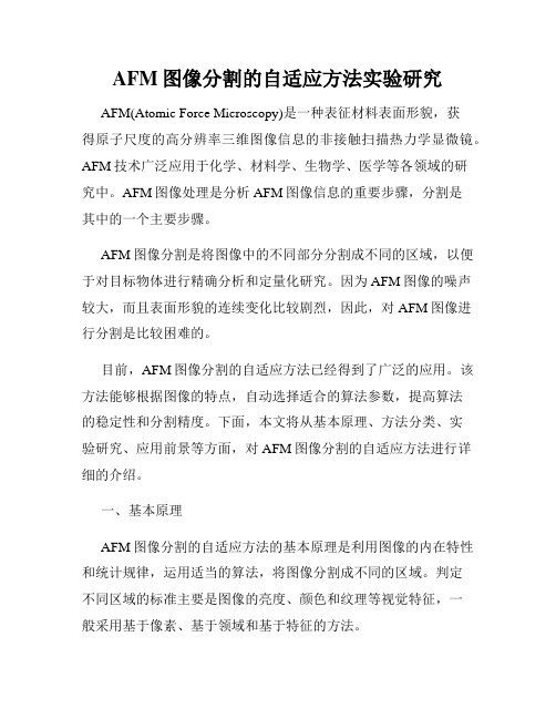 AFM图像分割的自适应方法实验研究