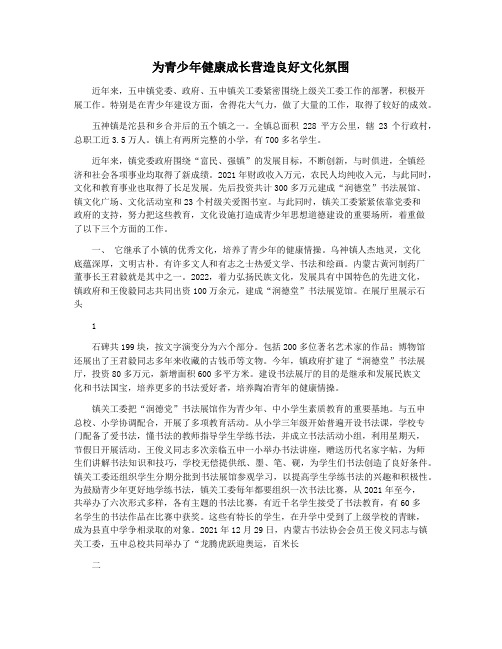 为青少年健康成长营造良好文化氛围