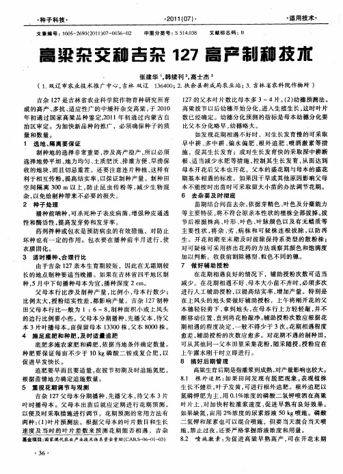 高粱杂交种吉杂127高产制种技术