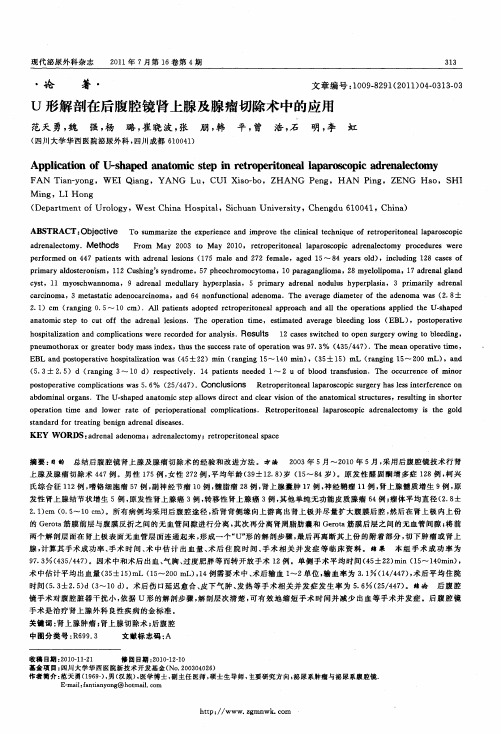 U形解剖在后腹腔镜肾上腺及腺瘤切除术中的应用