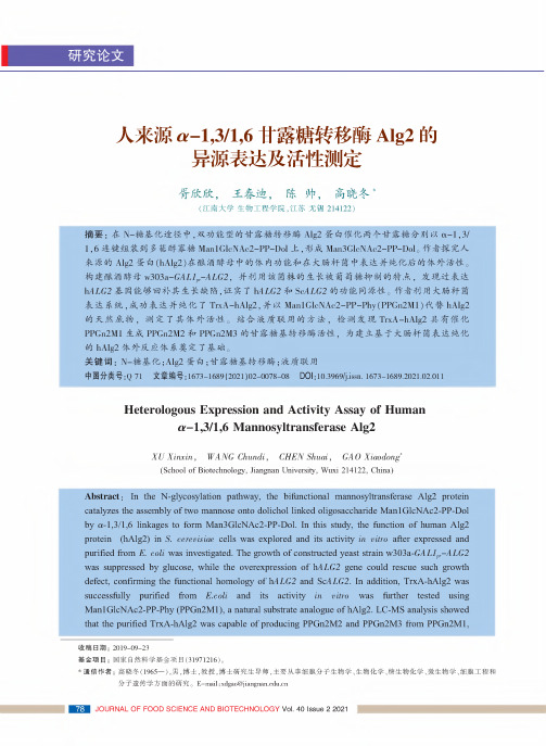 人来源α-1,31,6甘露糖转移酶Alg2的异源表达及活性测定
