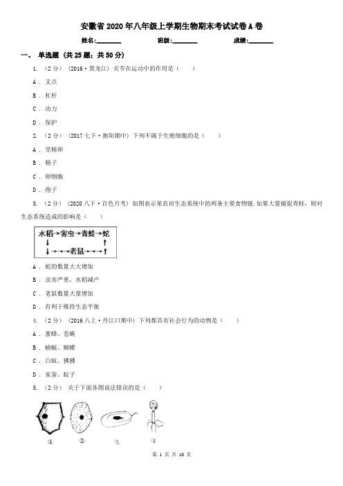 安徽省2020年八年级上学期生物期末考试试卷A卷