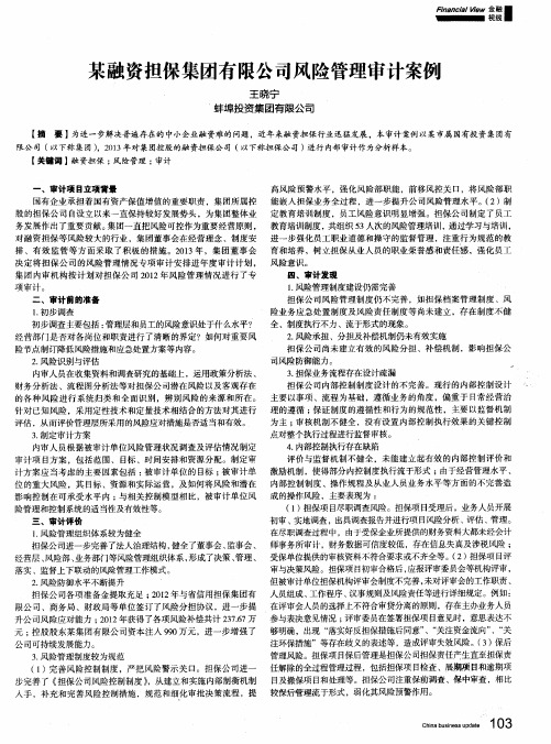 某融资担保集团有限公司风险管理审计案例