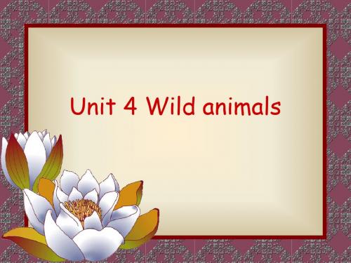 新人教版英语八年级上册Unit4Wild animals课件2