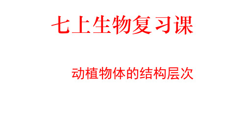 人教版初中生物中考专项复习： 动、植物体的结构层次
