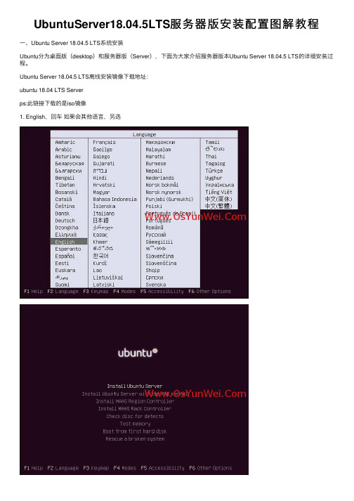 UbuntuServer18.04.5LTS服务器版安装配置图解教程