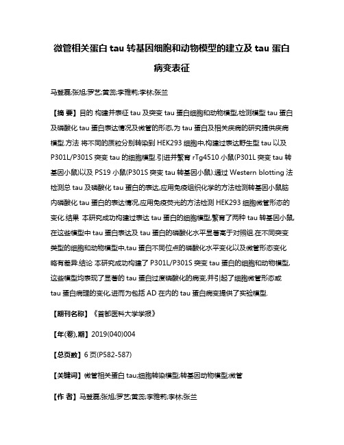 微管相关蛋白tau转基因细胞和动物模型的建立及tau蛋白病变表征