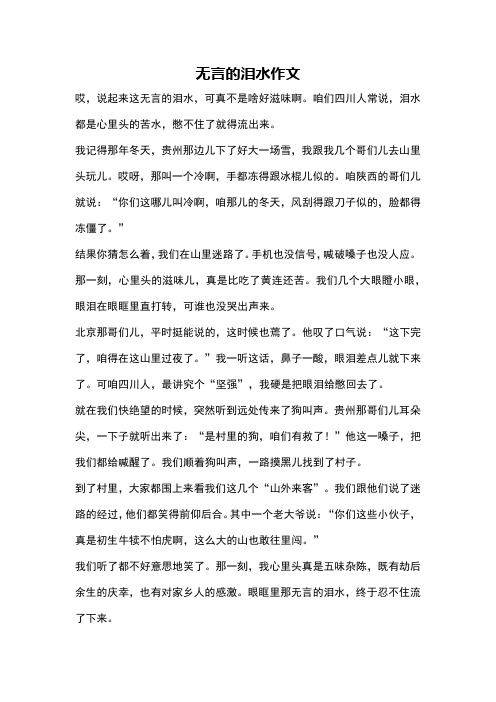 无言的泪水作文