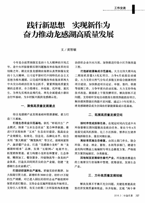 践行新思想 实现新作为 奋力推动龙感湖高质量发展