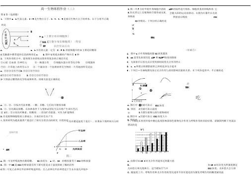 高一生物寒假作业(后附答案)