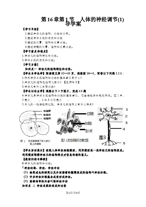 人体的神经调节(1) 导学案