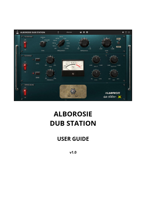 阿尔博罗西Dub Station用户指南说明书