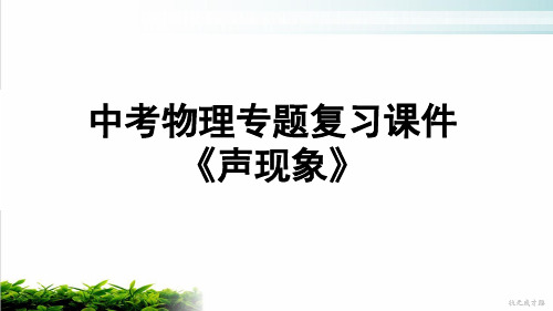 人教版中考物理专题复习课件《声现象》实用课件