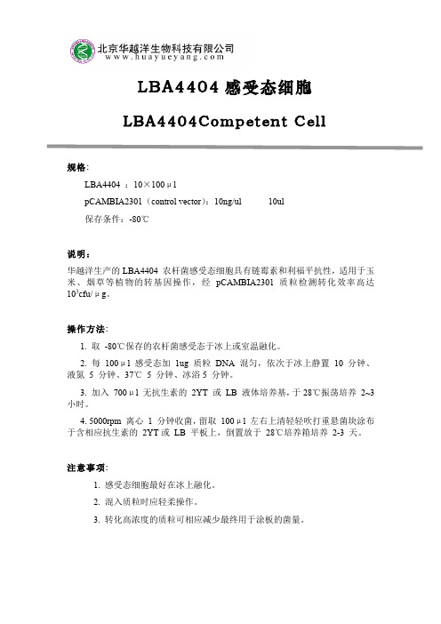 LBA4404感受态细胞使用说明