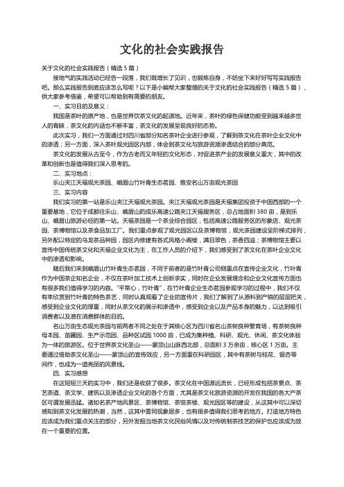 关于文化的社会实践报告（精选5篇）