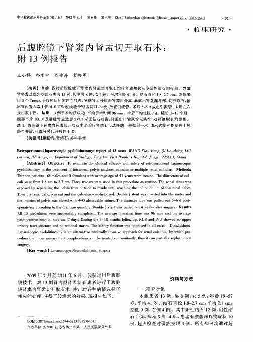 后腹腔镜下肾窦内肾盂切开取石术：附13例报告