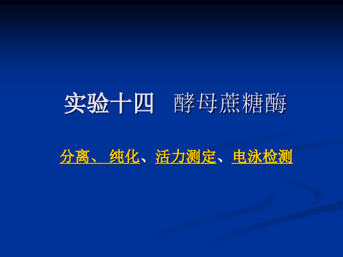 实验十四___酵母蔗糖酶的提取纯化及活力测定