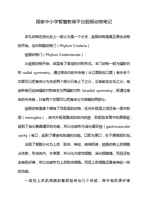 国家中小学智慧教育平台腔肠动物笔记