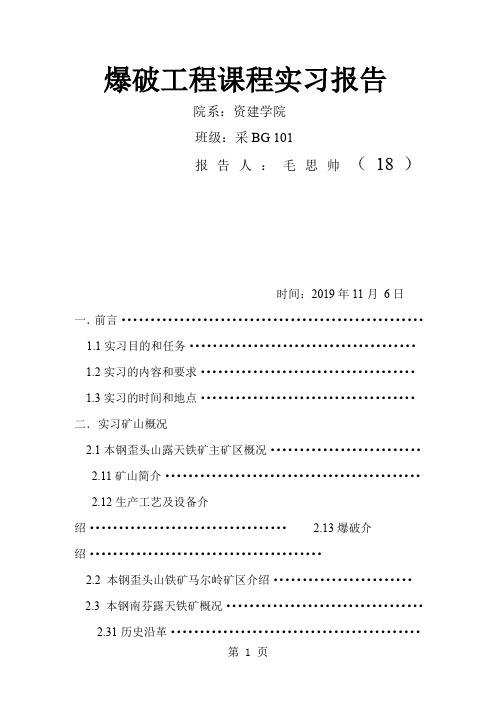 爆破实习报告20页