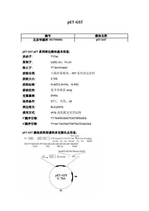 pET-GST使用说明