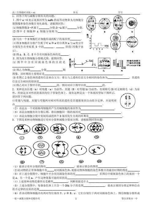 减数分裂专项训练