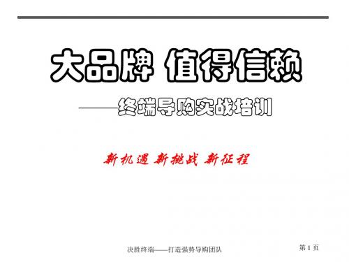 vxo终端导购实战培训.ppt