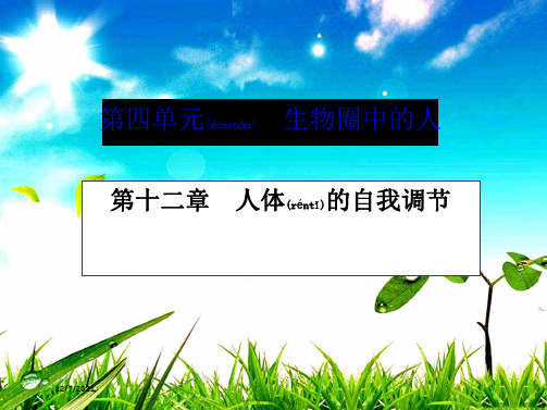 中考生物 考点梳理复习 第四单元 第十二章 人体的自我调节生物课件