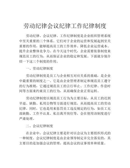 劳动纪律会议纪律工作纪律制度