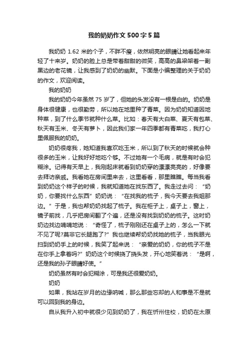 我的奶奶作文500字5篇