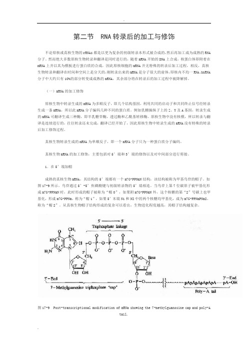 RNA转录后的加工与修饰