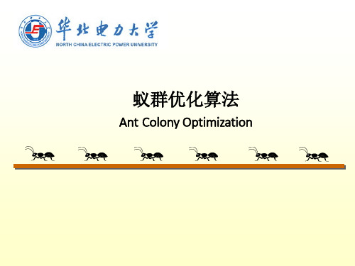 蚁群优化算法PPT