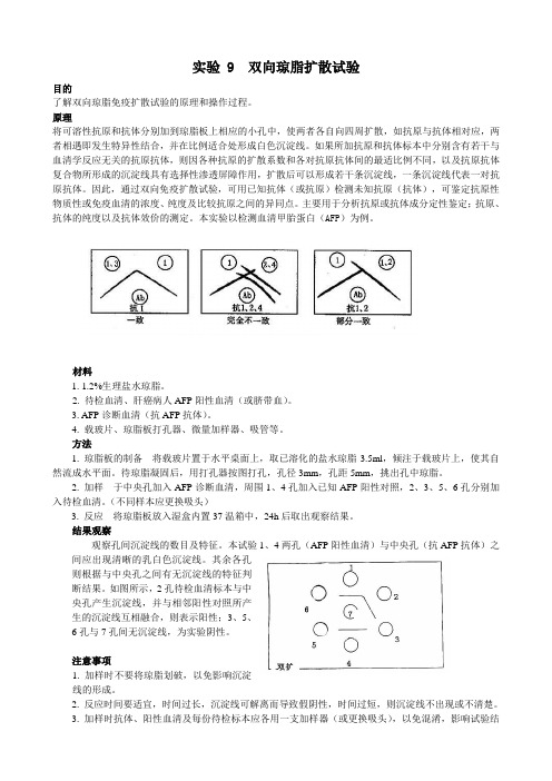 试验9双向琼脂扩散试验