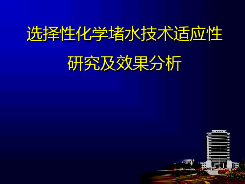 选择性化学堵水适应性研究