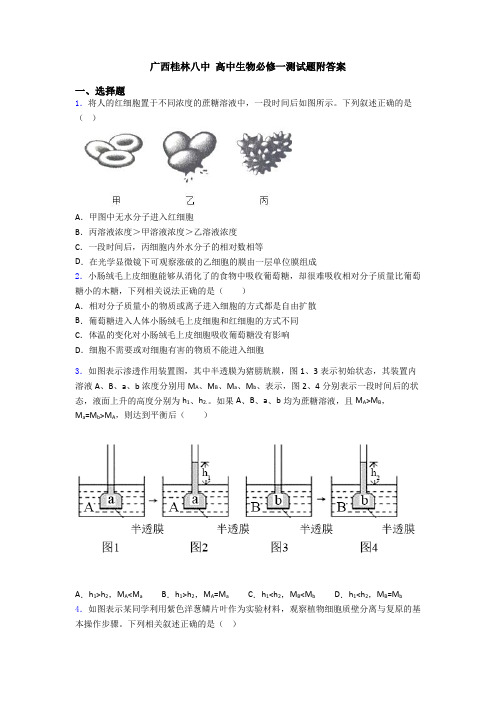 广西桂林八中 高中生物必修一测试题附答案